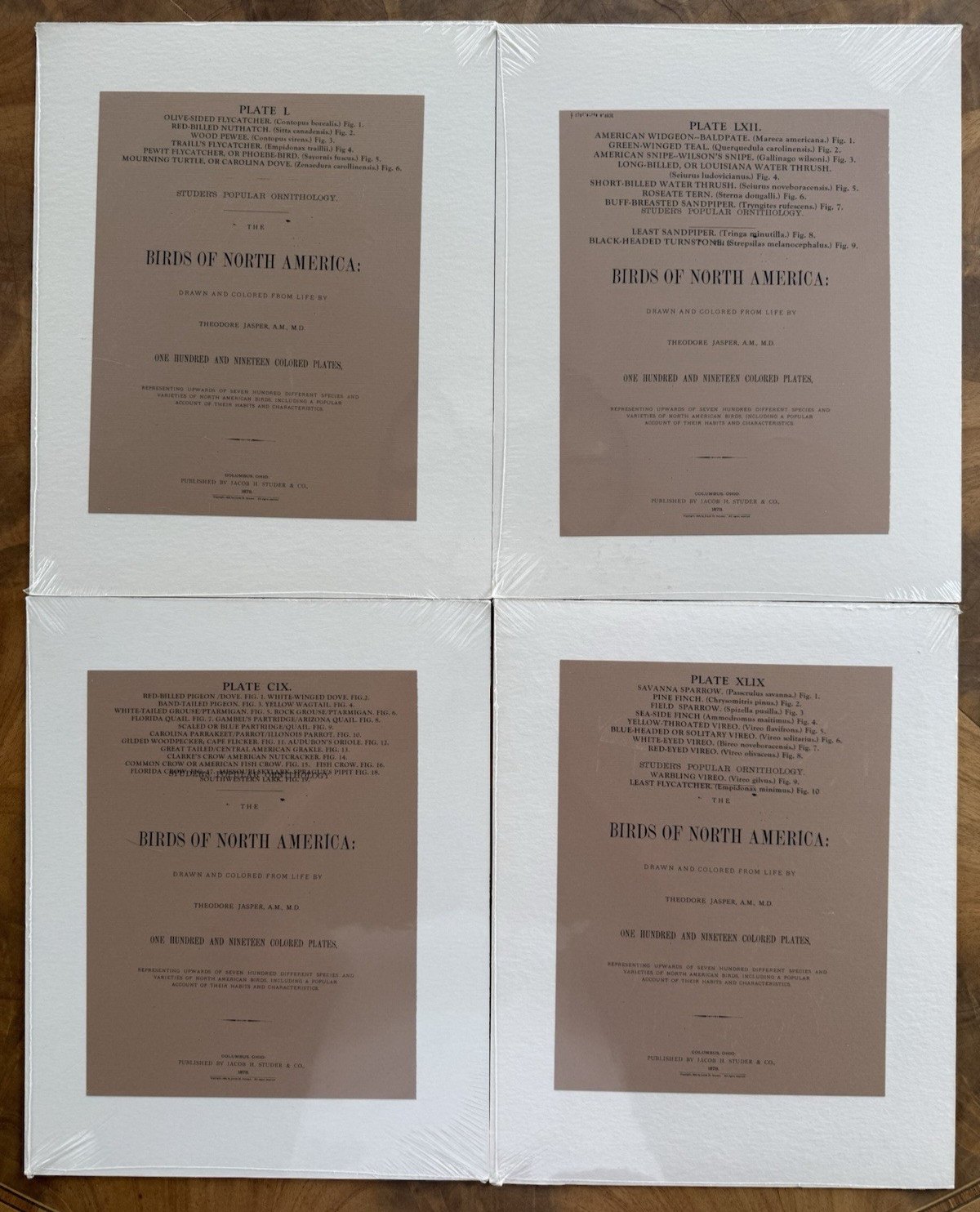 Lot of 14 Antique 1878 Chromolithograph Prints – Birds of North America – Jasper