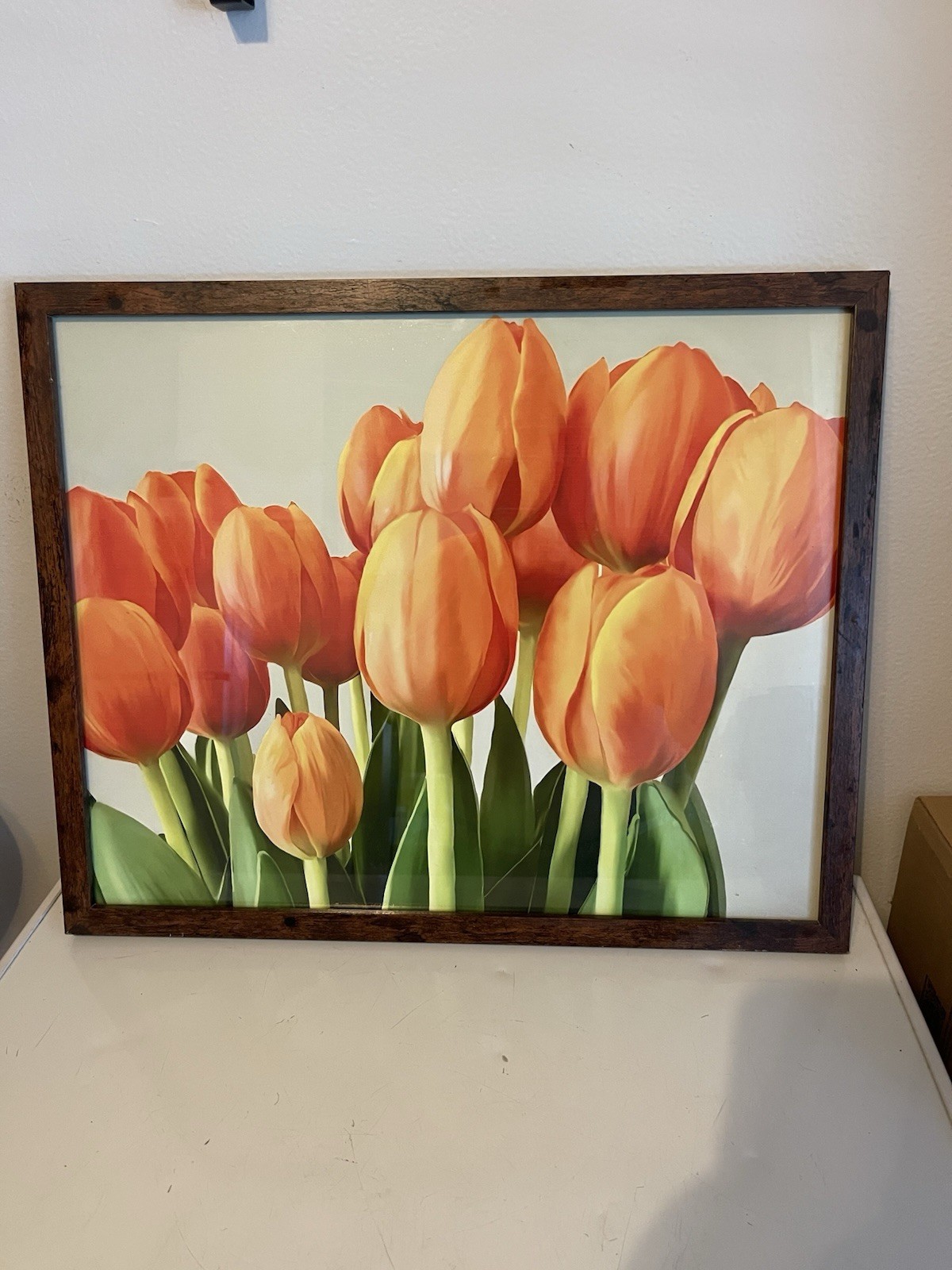 Modern Framed Tulip Wall Art Print by Ana Mavees 21×17 Floral Decor