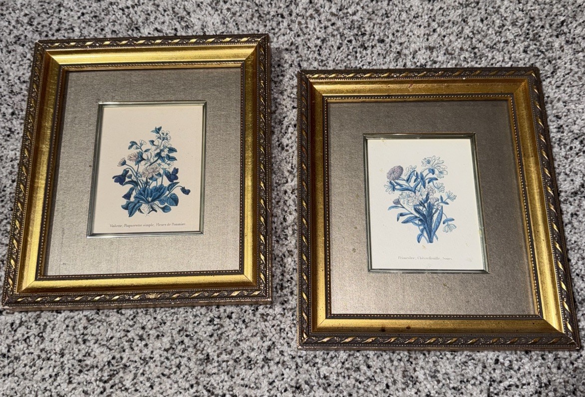 Set of 2 Antique Framed Floral Botanical Art Prints Gold Ornate Cottagecore