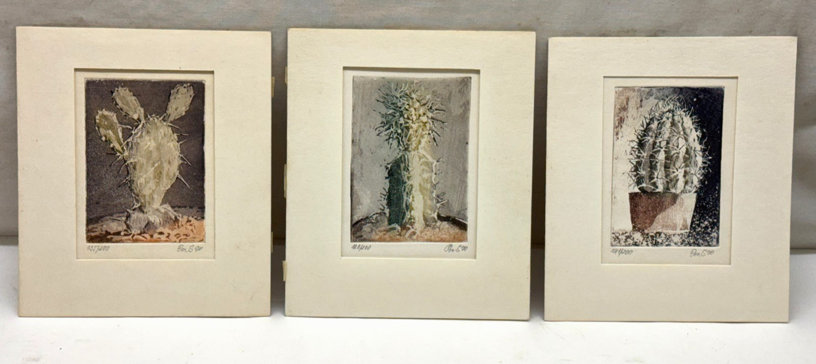 LOT OF 3 ORIGINAL CACTUS PLANT COLOR ETCHINGS ETCHING SIGNED NUMBERED CACTACEAE