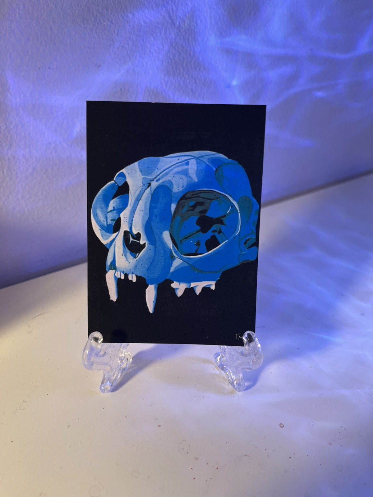 ACEO Art Print “Cat Skull” 2.5”x3.5” Acrylic Painting
