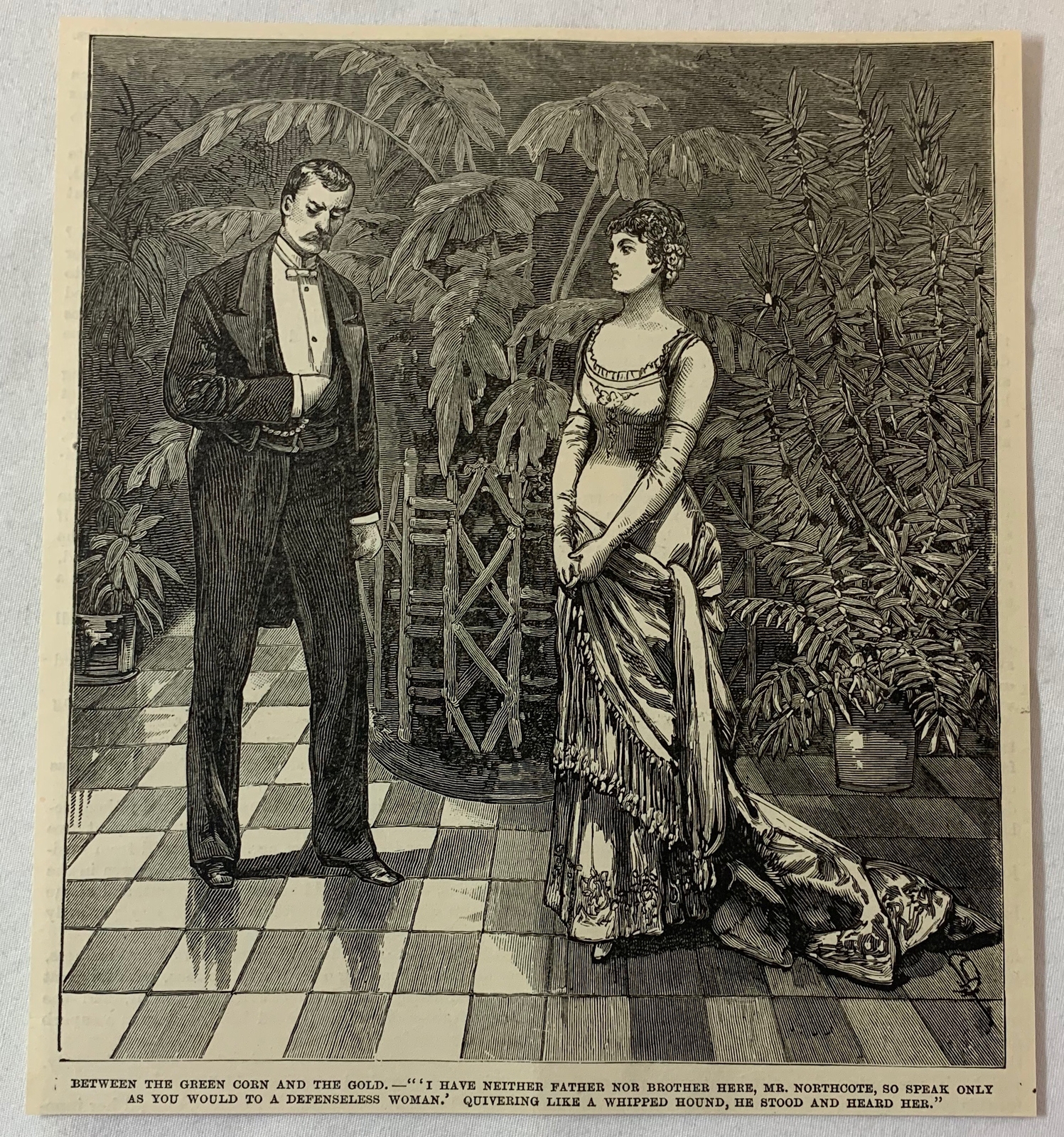 1887 magazine engraving ~ MAN AND WOMAN TALK AMONG THE POTTED PLANTS