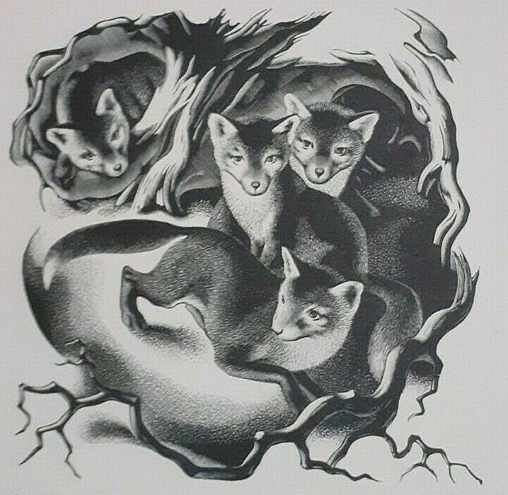 FOX CUBS, FOXES, FOXCUBS : 1936 Print of a Woodcut By A. MILLER-PARKER