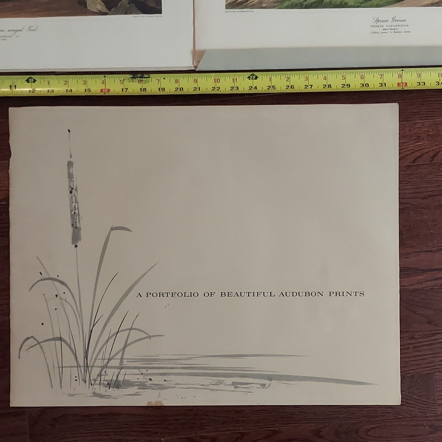 John James Audubon Bird Prints Set Realism Large Unframed Licensed Reprint