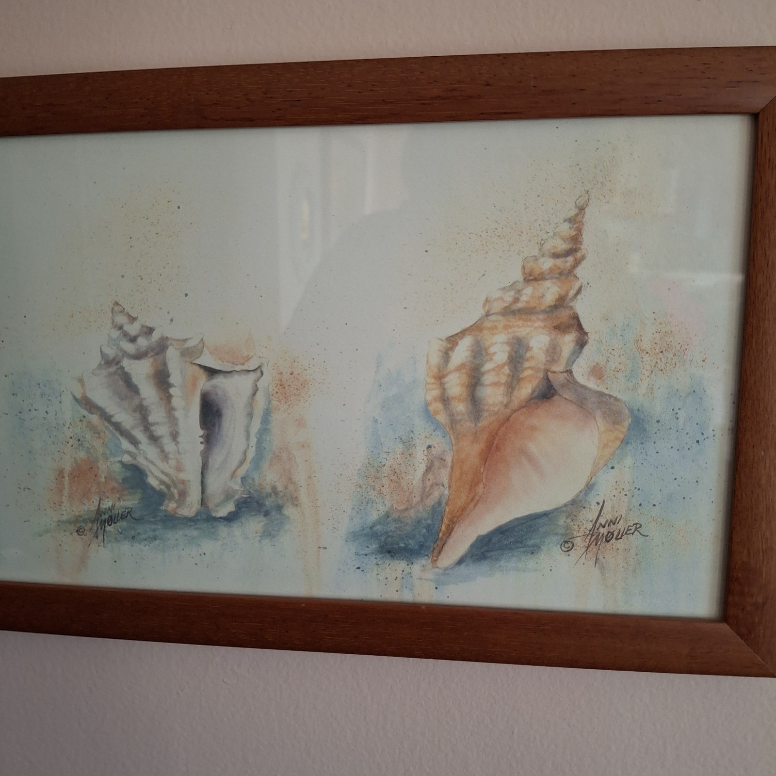 Vintage Shells Print Signed Anni Moller Framed 22” x 8” Beach Ocean Shore