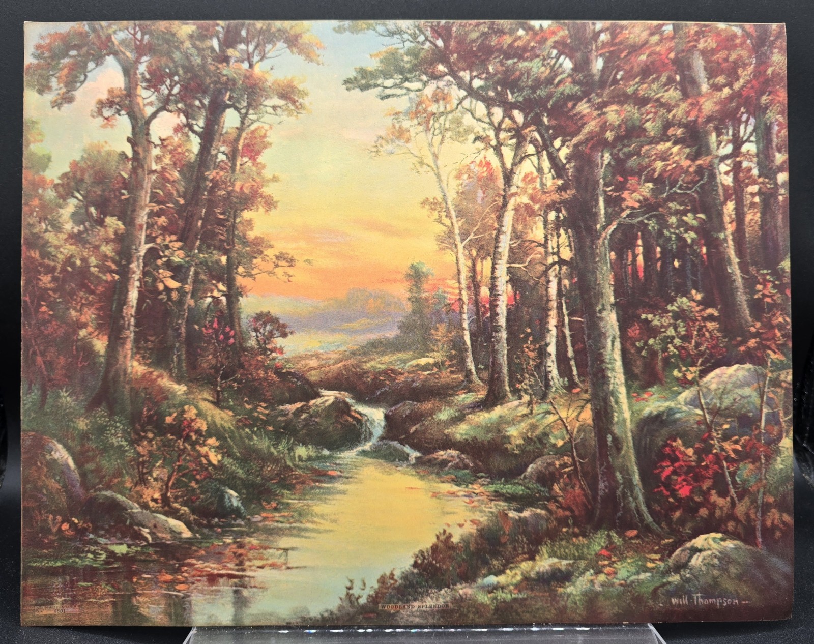 Vintage Will Thompson Woodland Splendor Gloaming Sunset Birch Trees Along Stream