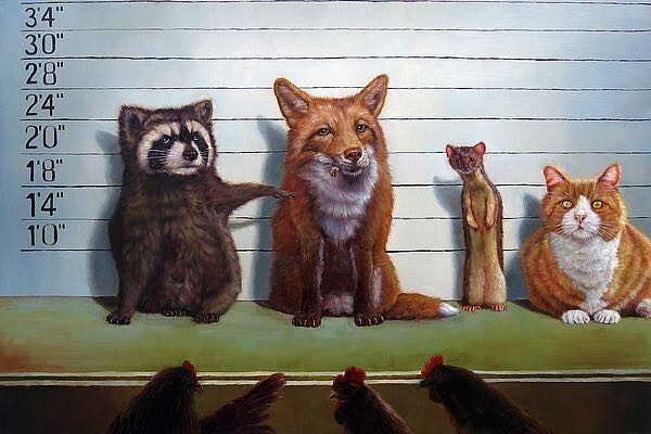 Usual Suspects ART PRINT by Lucia Heffernan Image Size 18 1/8″ x 12″