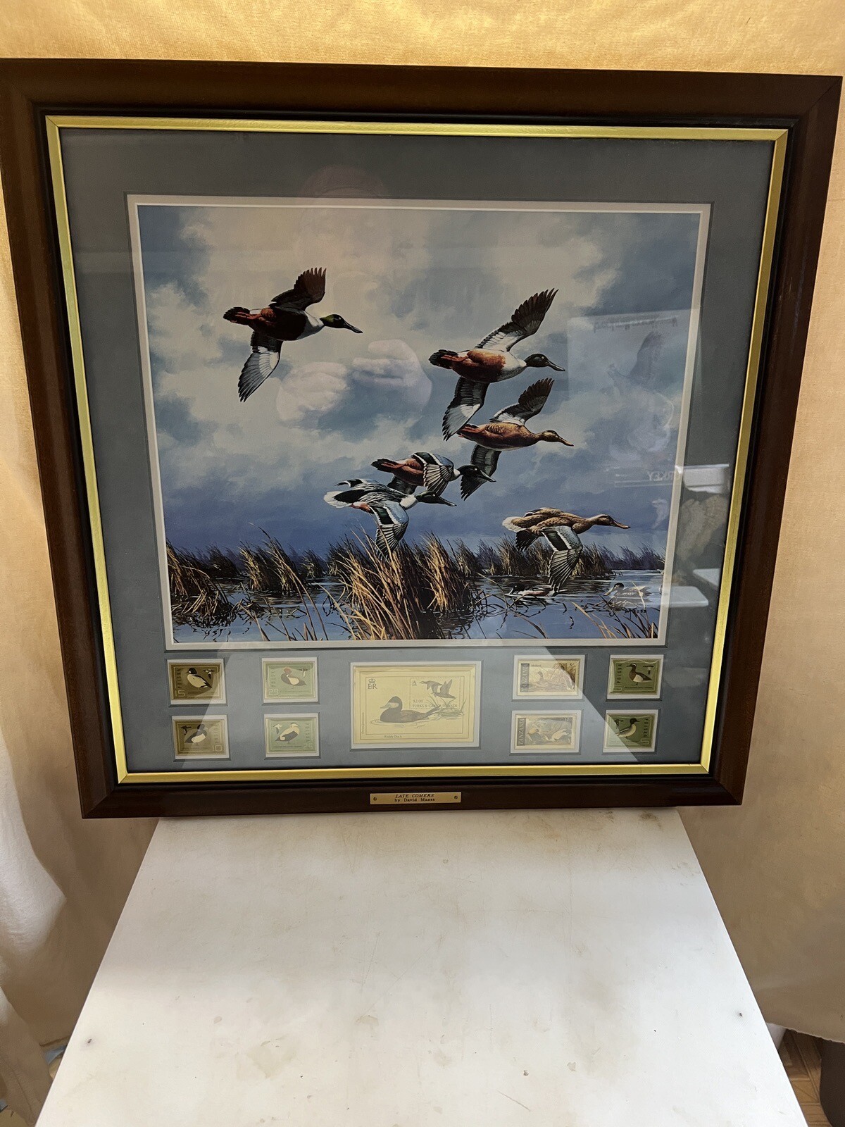 22-3/4″ x 22-3/4″ Frame Late Comers By David Maass With 9 Framed Stamps