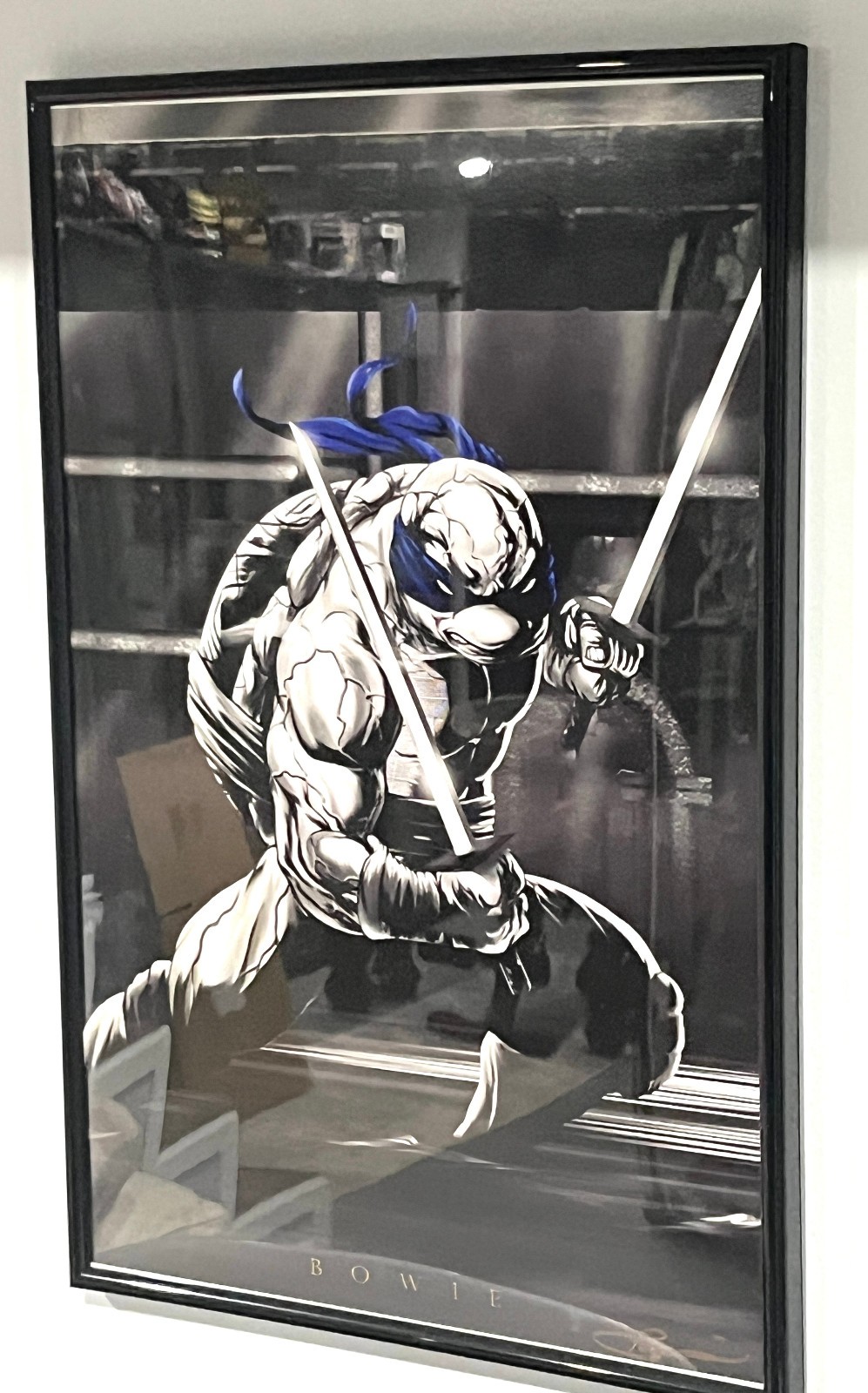 Teenage Mutant Ninja Turles Prints artwork framed