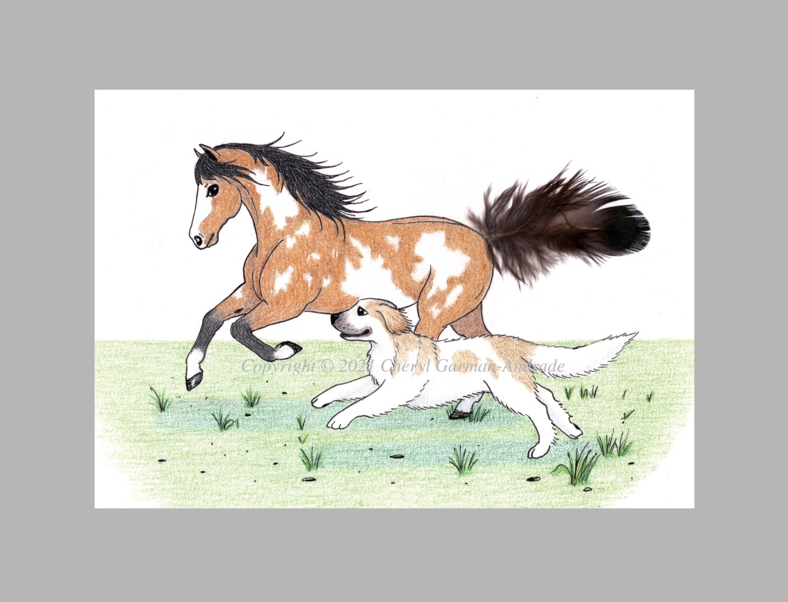 Overo Paint Horse & Pyrenees Dog by Cheryl Andrade. 4″ X 6″ Open Edition Print