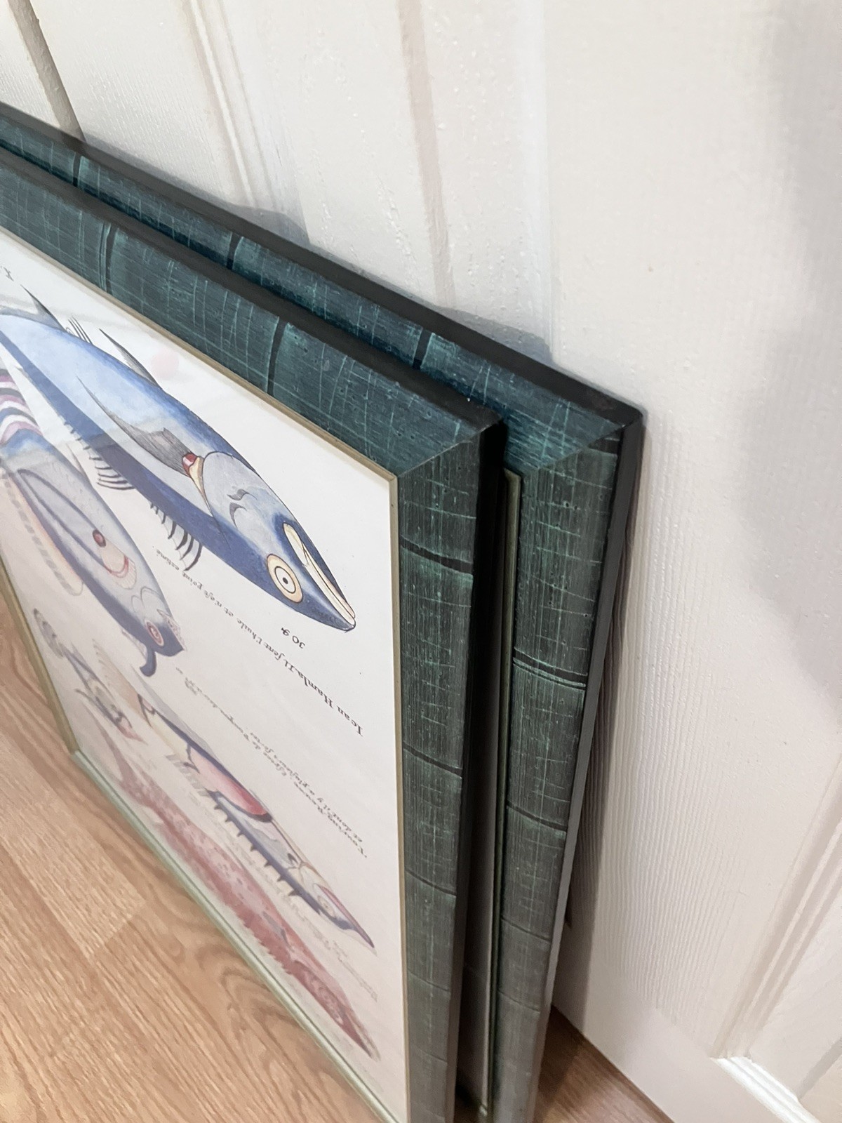 Pair Of Louis Renard Matching Framed Exotic Fish Art Prints 26×21 Under Glass
