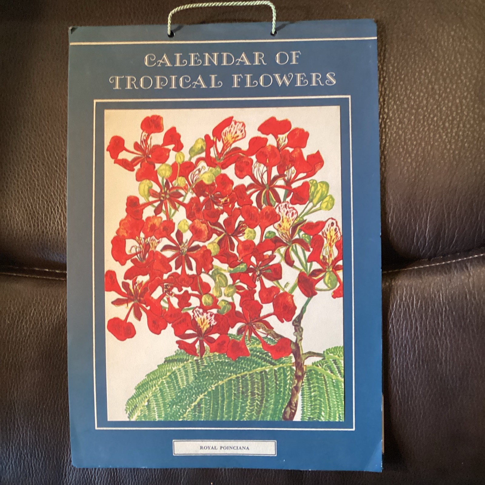 1945 Calendar Of Tropical Flowers 9” x 7” Frameable Prints