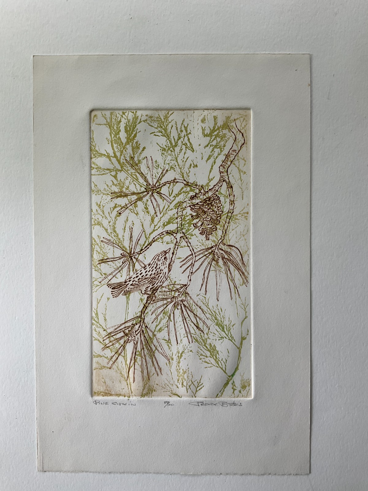 PEARCE BATES PINE SISKIN TWO COLOR WOODCUT PRINT SIGNED NUMBERED NM