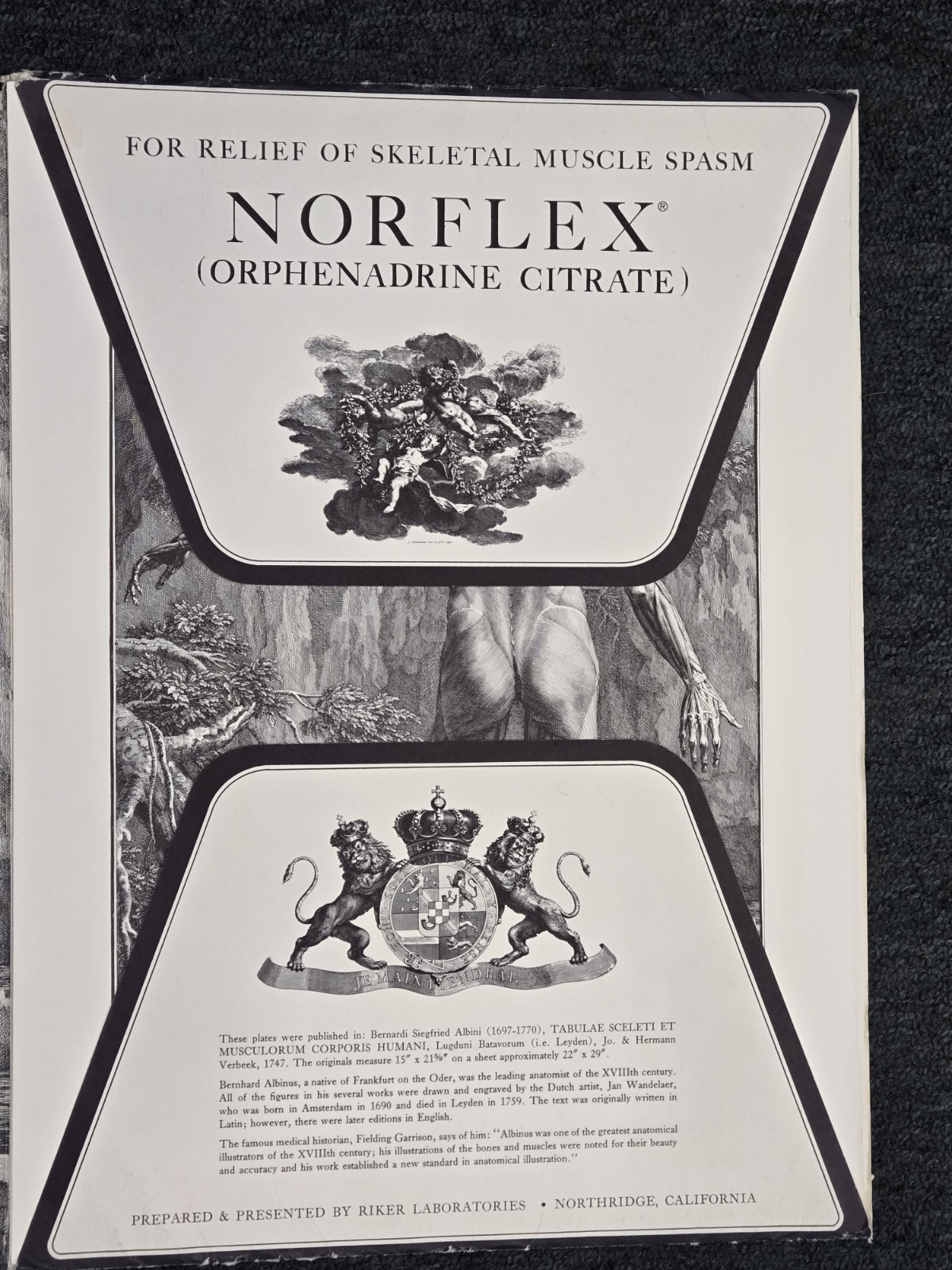 Tabulae Sceleti Et Musculorum Corporis Humani – Norflex Riker lab 1964 prints