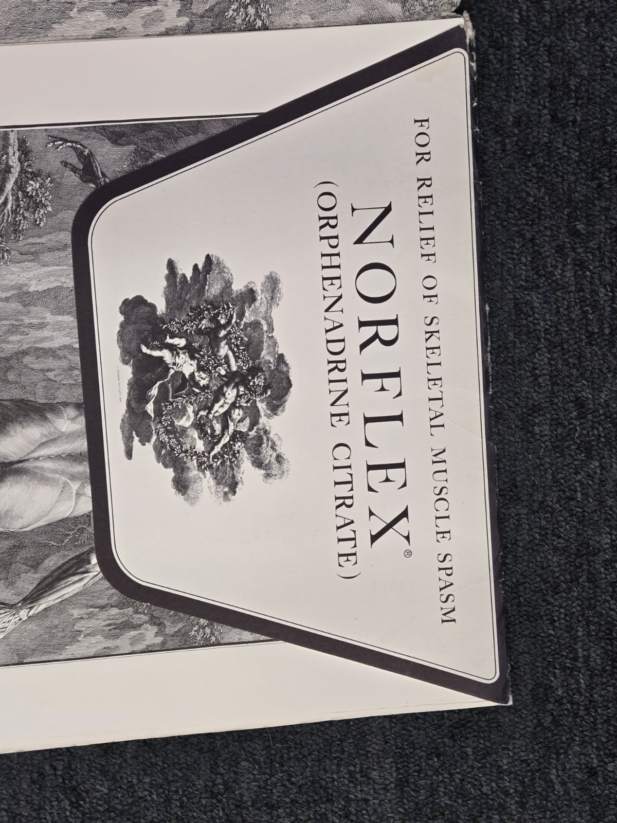 Tabulae Sceleti Et Musculorum Corporis Humani – Norflex Riker lab 1964 prints