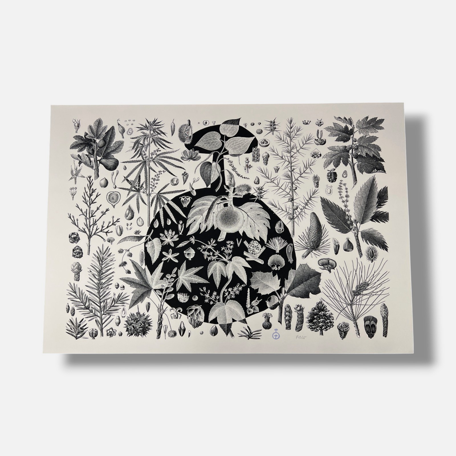 Pedro Oliver “Naturbomb II” 2006 Limited Signed Wall Art | 110 x 76 cm