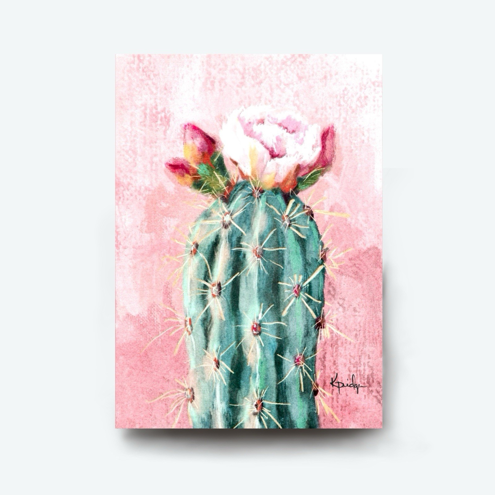 ACEO ATC Limited Edition Art Print /12 Pink Green Cactus Succulent Desert Flower
