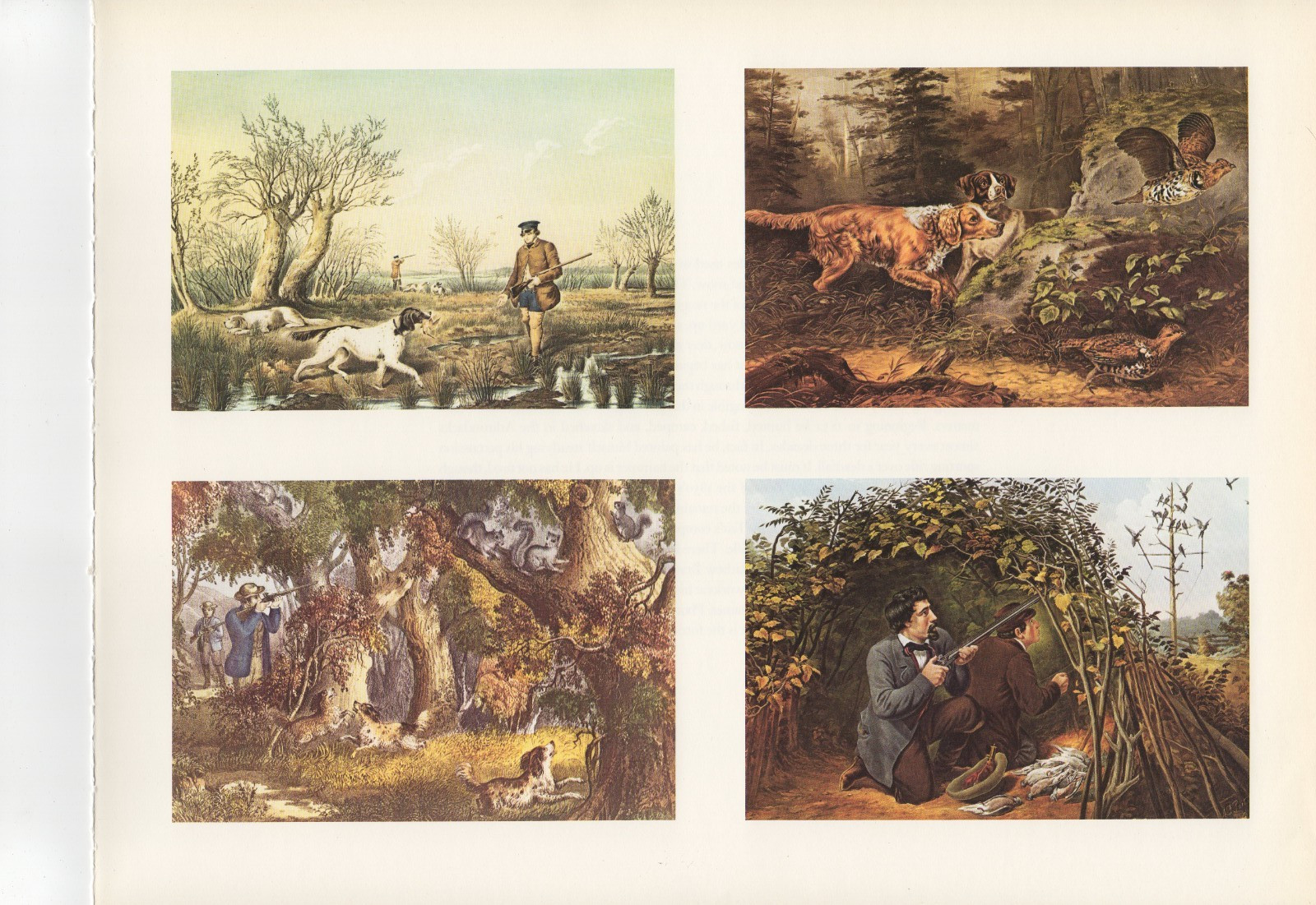 1972 Vintage HUNTING “4 IN 1, SNIPE, SQUIRREL, PIGEON, GROUSE Color Lithograph
