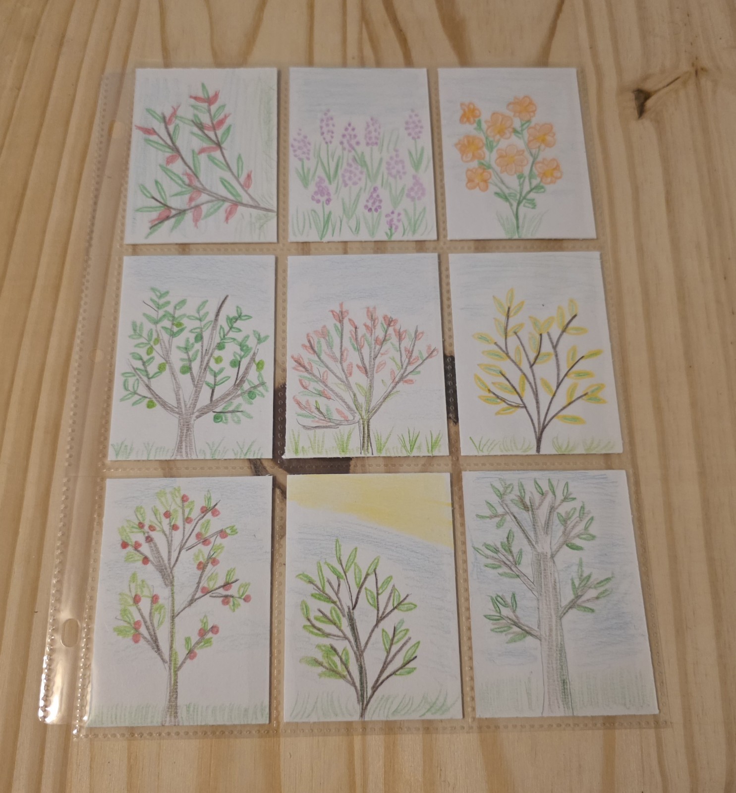 ACEO Card Set of 9 Ink,Pencil Flower Bushes