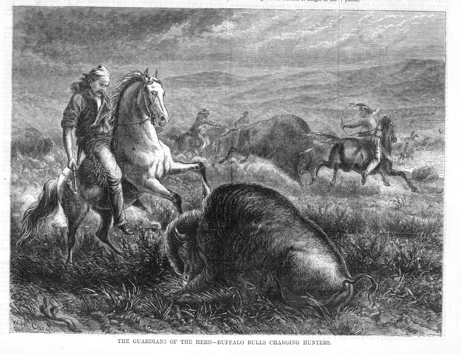 Buffalo Bulls Charging Hunters – Guardians of the Herd – by W. M. Cary – 1873