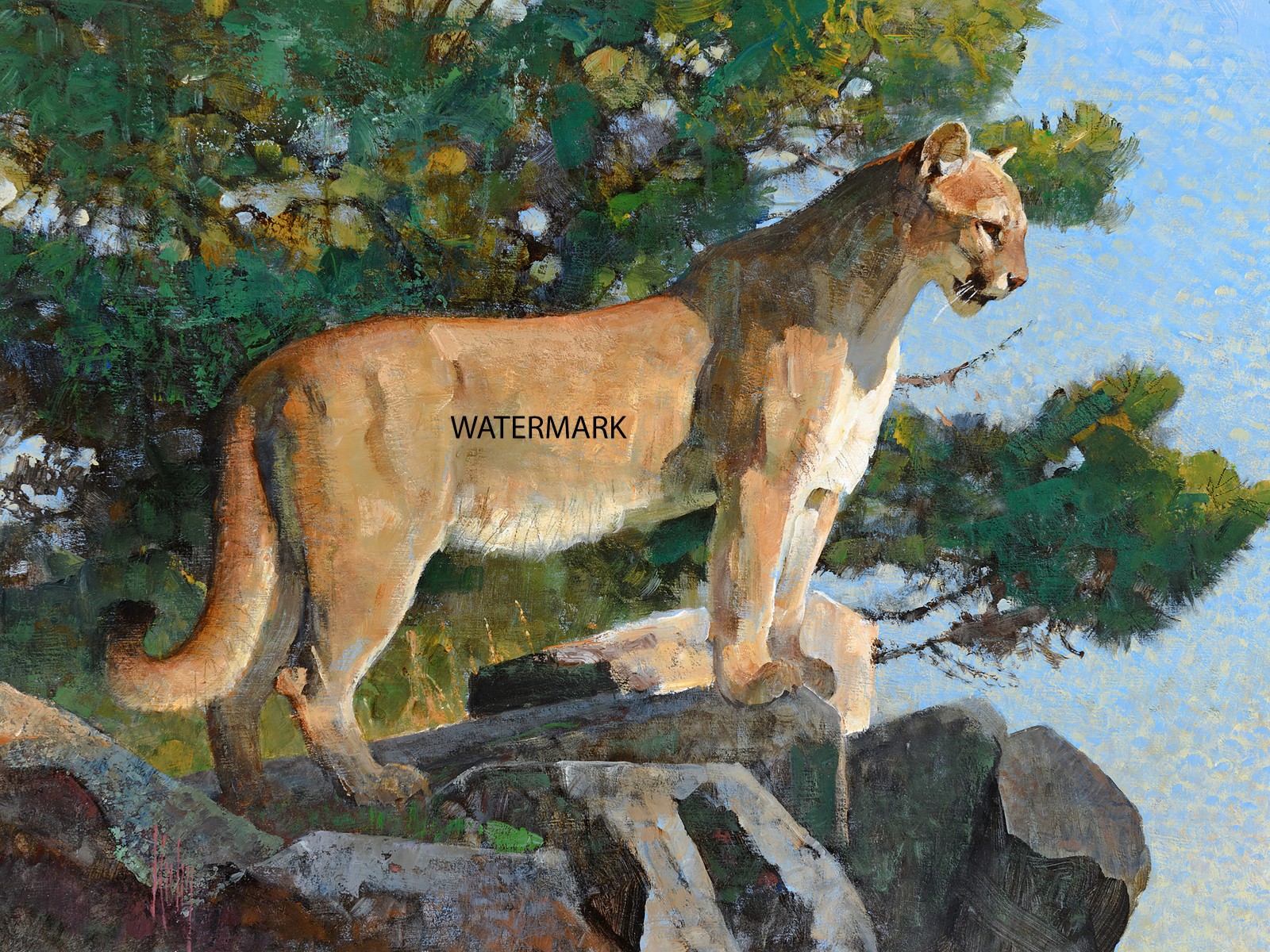 Bob Kuhn Mountain Lion Rocky Outlook Big Game Hunting 13×19 Print REPRODUCTION