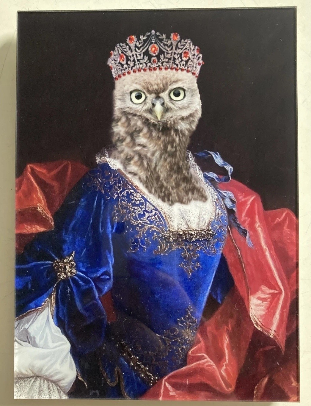 Angela Rossi Owl Print “Lady Aves” – Lumas – Acrylic Petite – Wall Art 2014