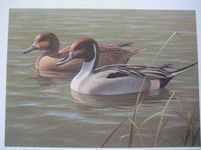 1987 First of State Arizona Duck Stamp Print Medallion Edition Signed and Number