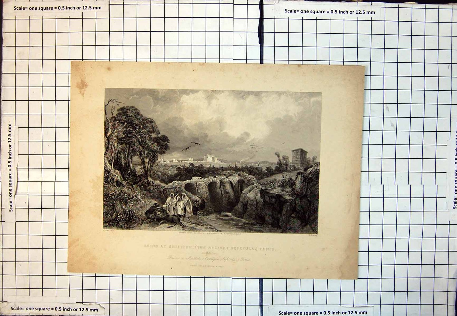 Old Print Ruins At Sbeitlah Ancient Sufetula Tunis Africa Native Lion Trees 348J