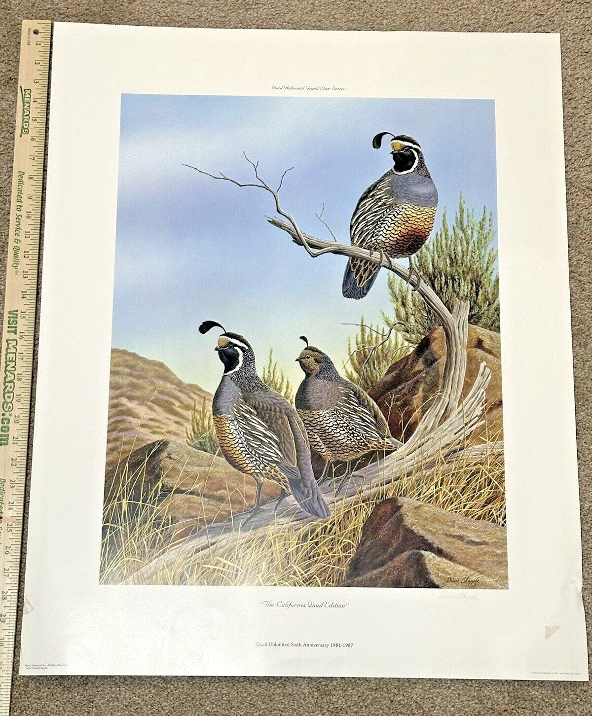 DAVE CHAPPLE Signed &Num 627/850 California Quail Edition Quail Unlimited Print