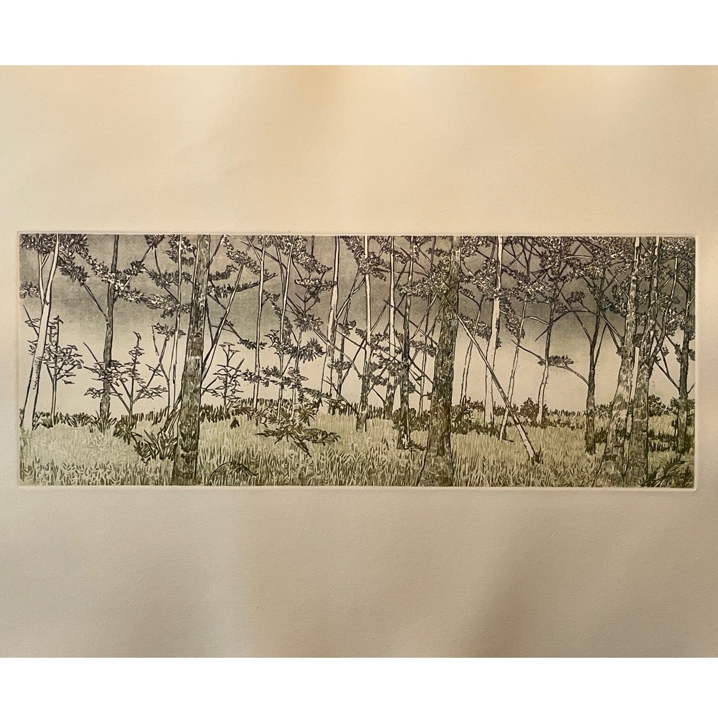 Ruth Leaf Signed Etching “Ballet for 26 Trees” 29×22 Ltd Ed BFK Rives Art