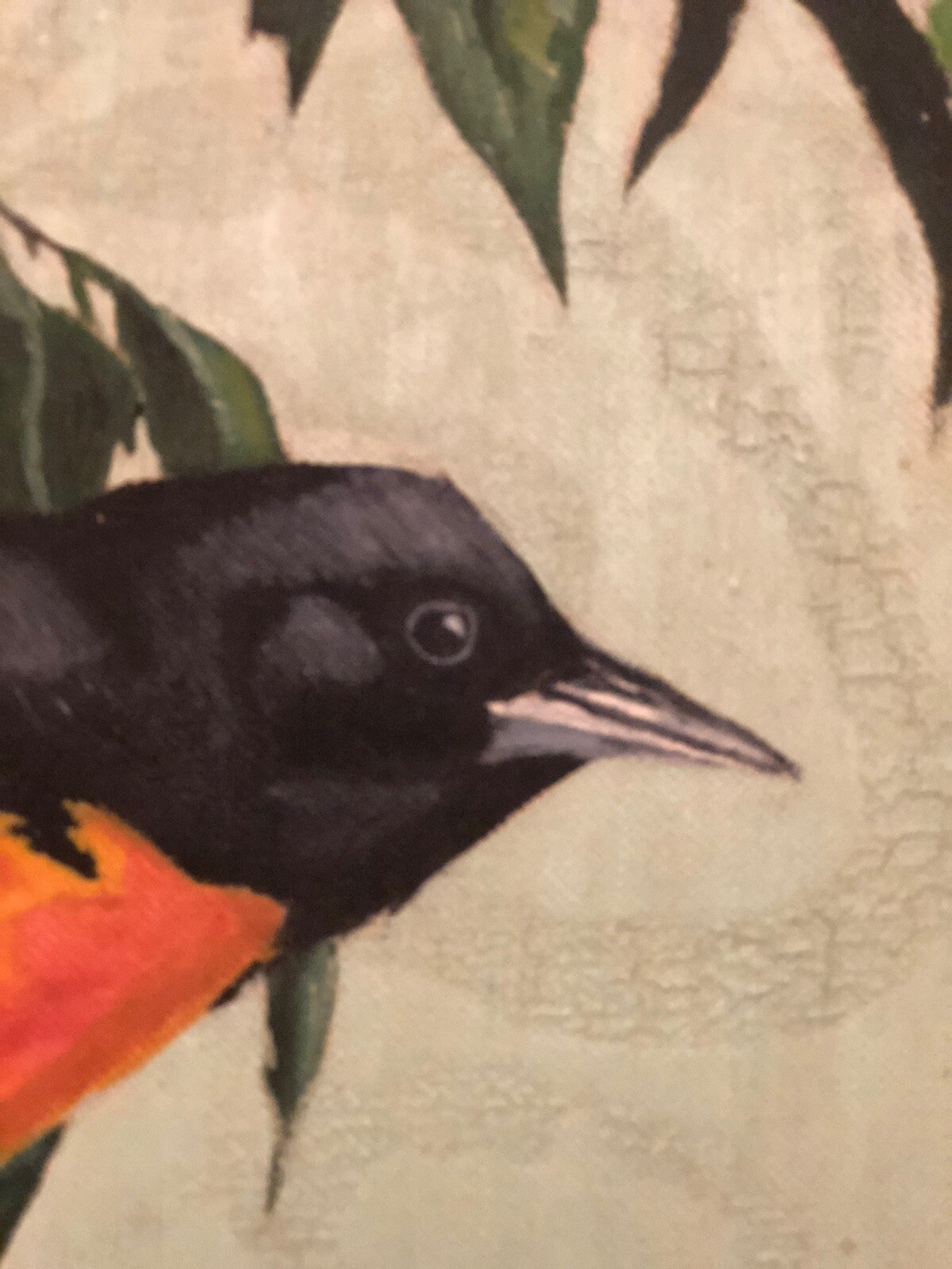 Vintage 1954 oil painting Baltimore Oriole, copy of Walter Weber. NOT PRINT