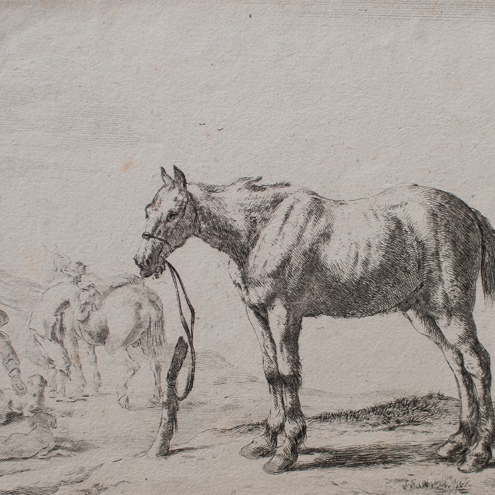 Dirk Stoop horses animal study golden age Baroque orig copperplate 17th century