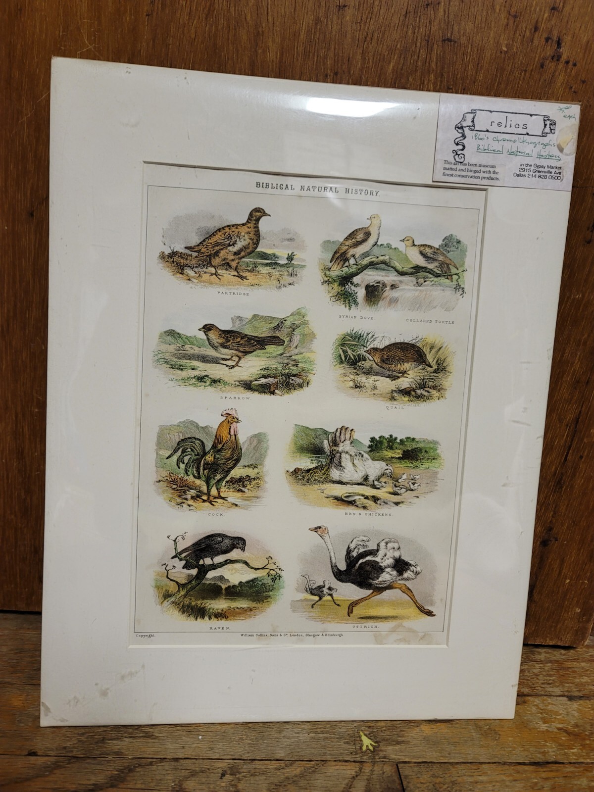 Birds Of The Bible Lithograph Collins & Sons Art 1860s VTG History Biblical