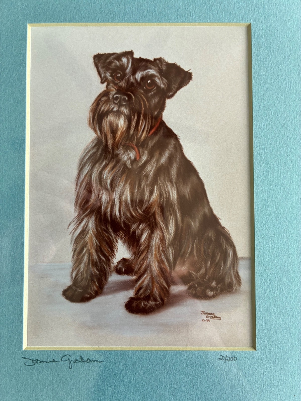Joanne Graham Signed Limited Edition Miniature Schnauzer Print 20/200 Dated 1984