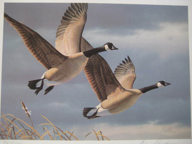 1987 West Virginia Duck Stamp And Print by Daniel Smith 715/10064