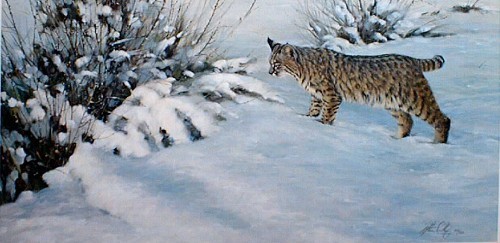 Morten E. Solberg – Something Moved – Bobcat – Limited Edition