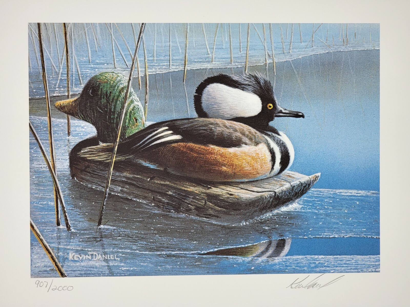 1990 MN Duck Stamp Print Signed Ltd Ed. Hooded Merganser by Kevin Daniel