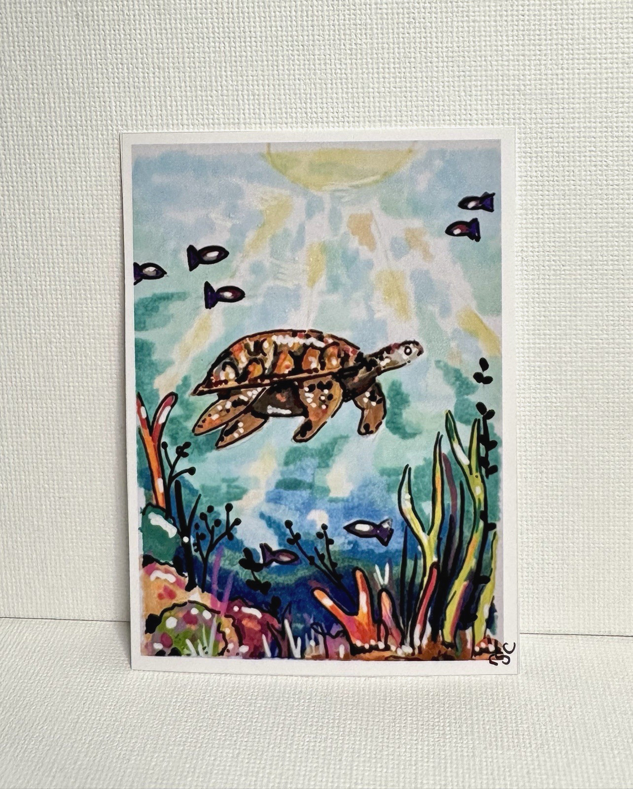 ACEO Original PRINT Sea Turtle, Ocean aceo, Print Sun Under Water, Reef