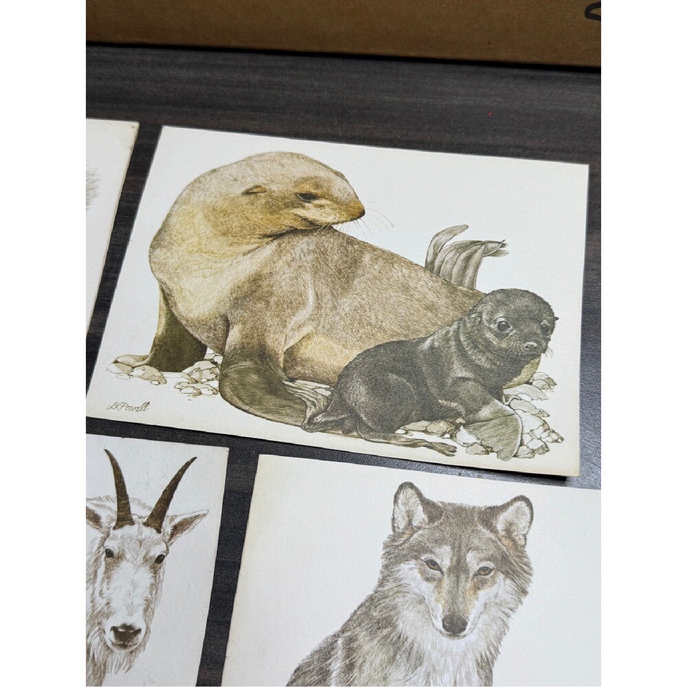 Wildlife Art Prints Mother Baby Animal Illustrations Vintage Cards Current, Inc