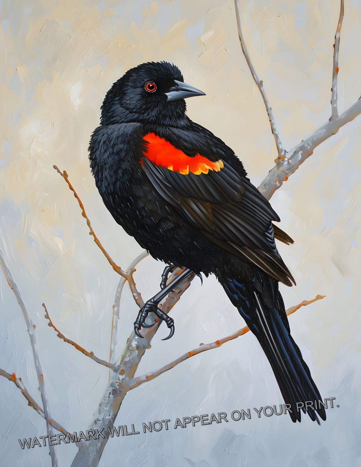 Red-Wing Blackbird on Branch Nature Animals Giclée Art Print 8.5×11