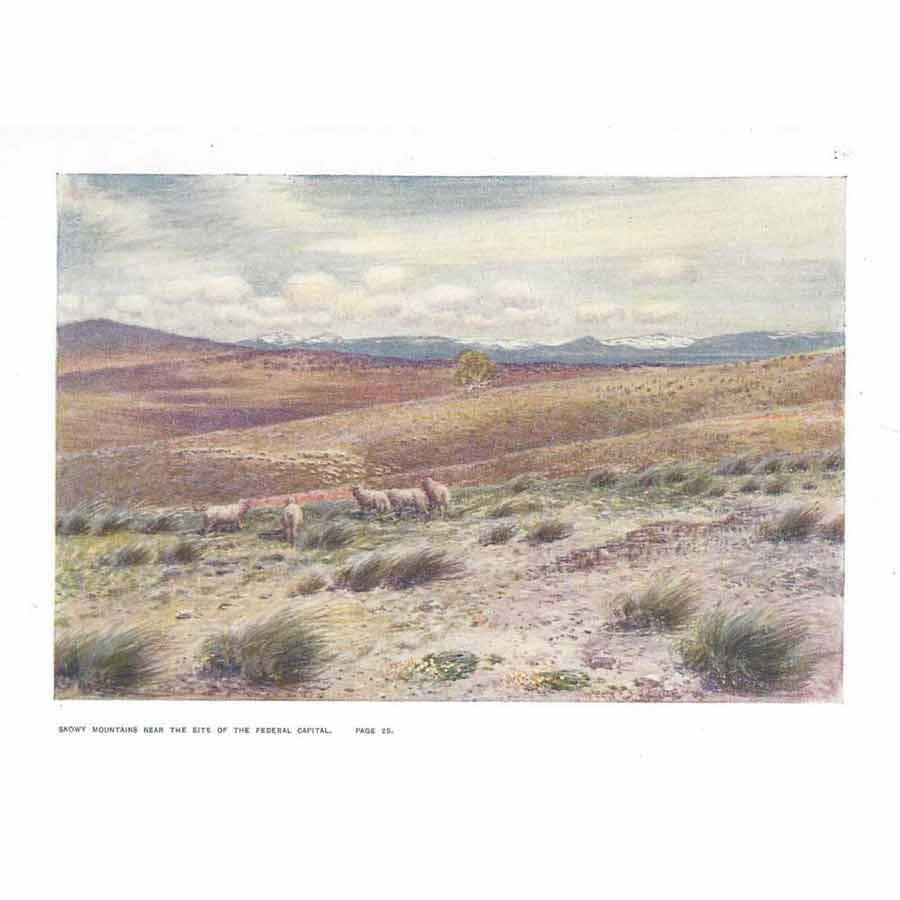 AUSTRALIA Snowy Mountains near the Federal Capital – Antique Print 1911
