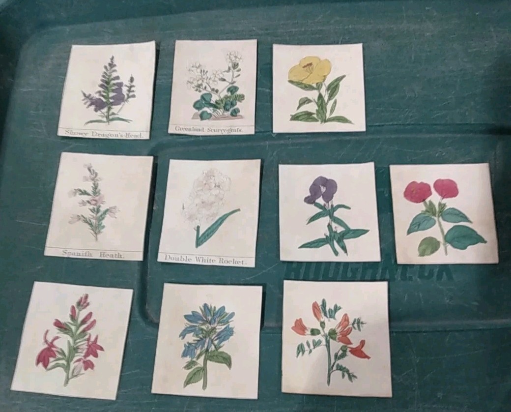 10 Miniature Antique 19th Century Art Book Plate Style Floral Prints Hand Tinted