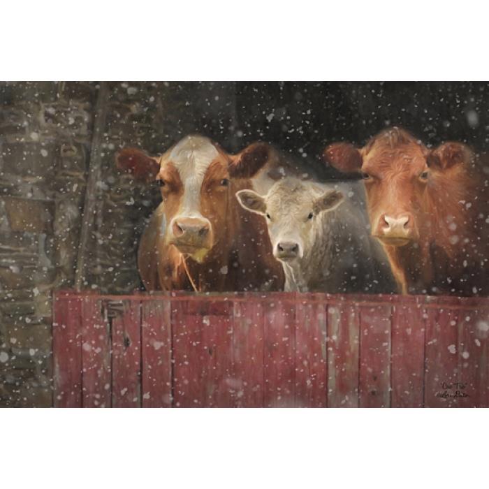 Lori Deiter Cow Trio County Art Print 18 x 12