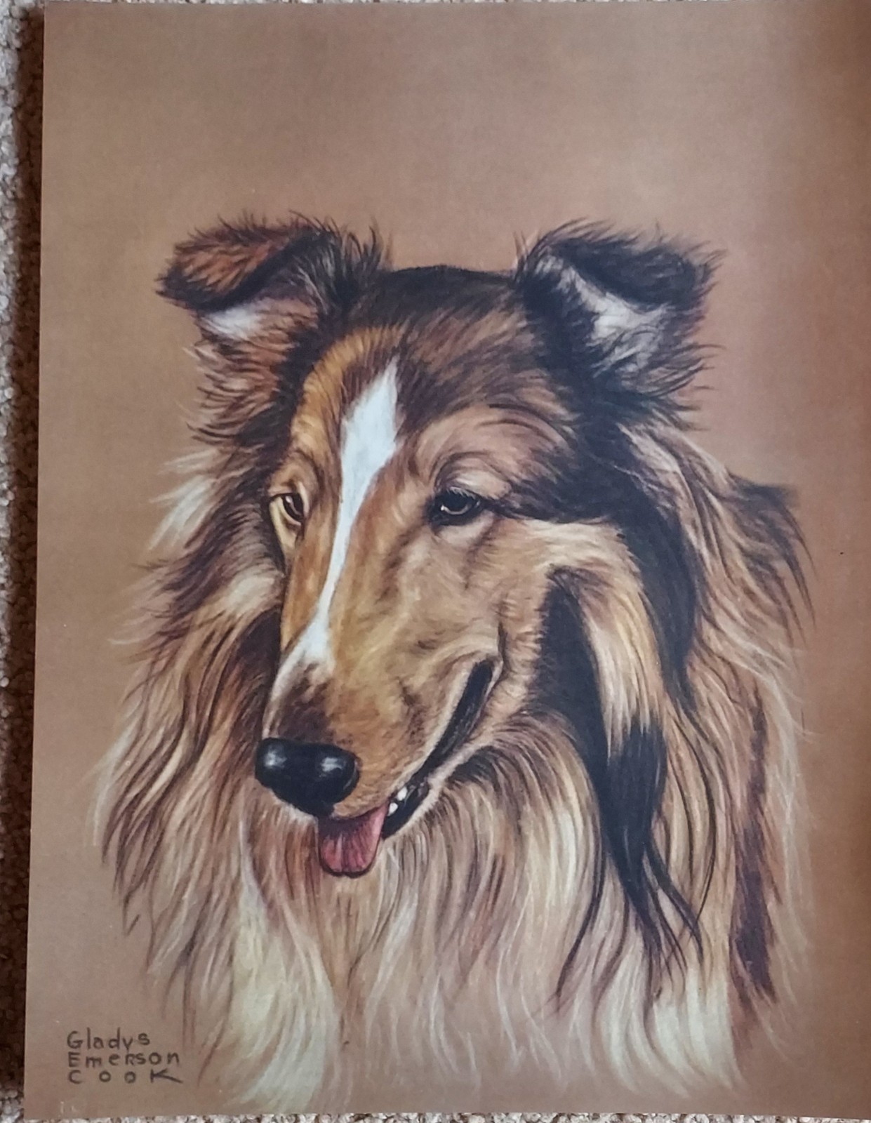 Collie, beautiful portrait by Gladys Emerson Cook, 1940s. Licensed reprint