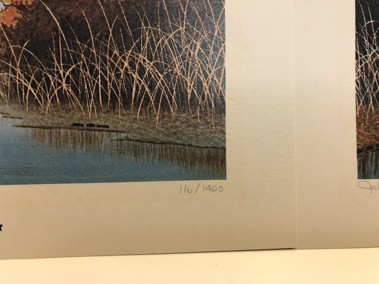 Limited Edition Prints John Zed King Signed & Numbered Alabama Wildlife