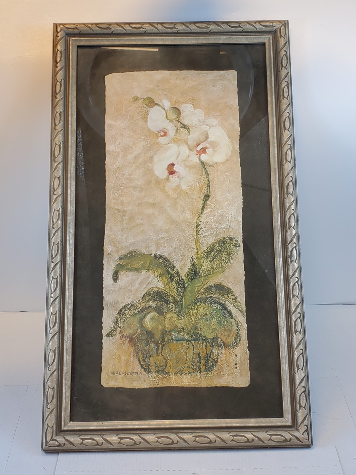 Print Of Phalaenopsis By Cheri Blum Floral Design Framed Art Vintage Orchids