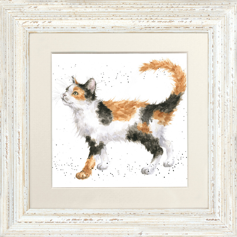 Wrendale Designs “Calico Cat” Cat 23cm Framed Picture FCS161 Distressed White
