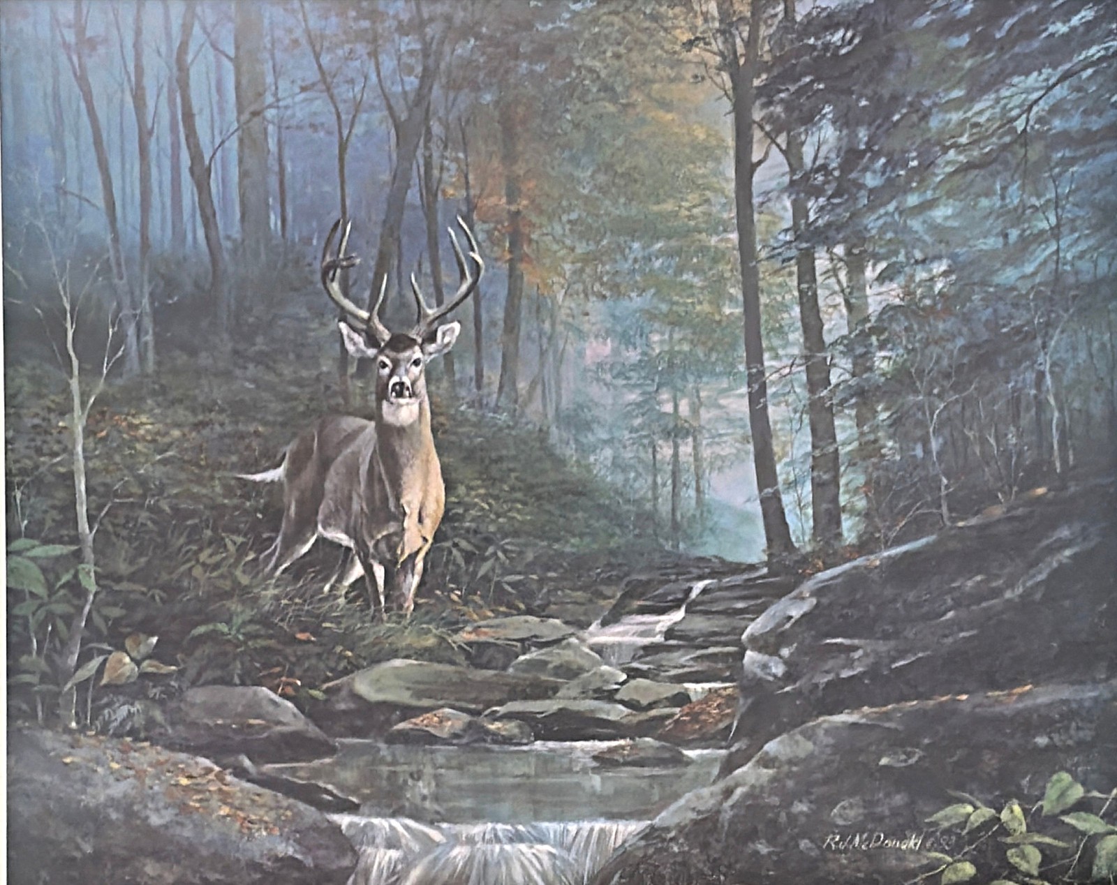 R.J. McDonald Daybreak Whitetail Deer Art Print- 21.5 x 17.25