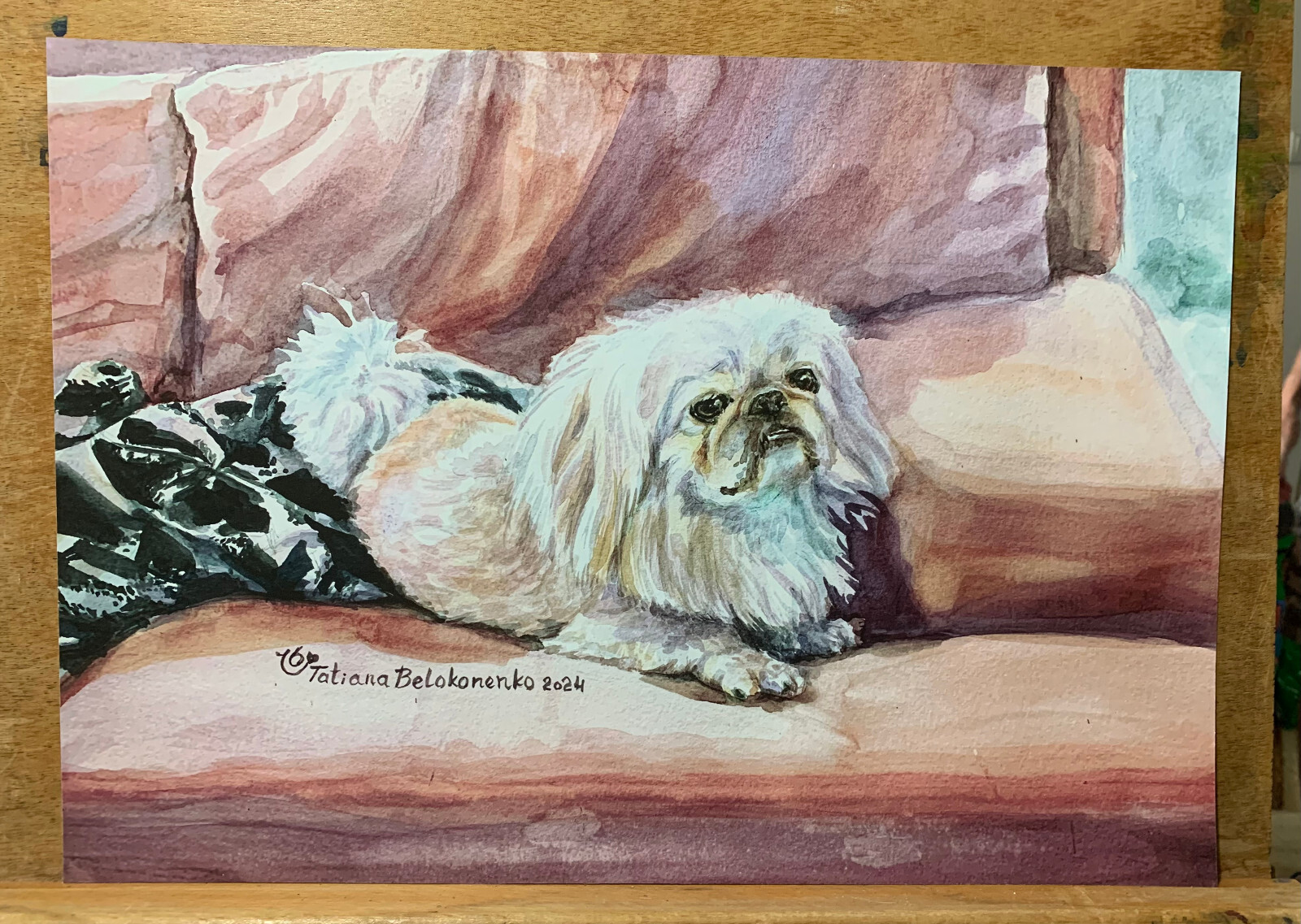 Pekingese Dog on a Couch – print from a watercolor painting