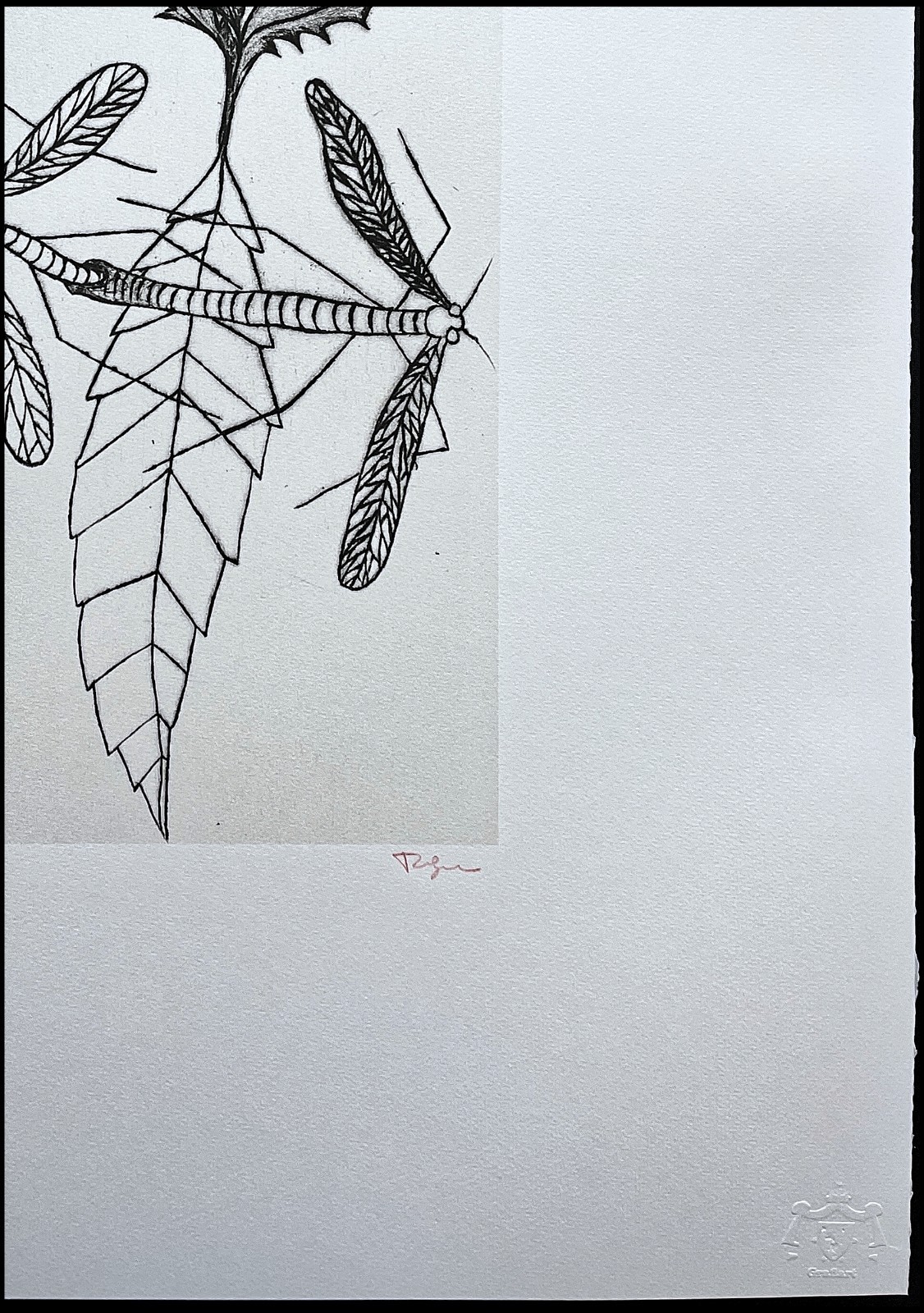 TOYEN – Dragonflies – numbered edition 79/500, 50×70 cm (19,7×27,6 in)